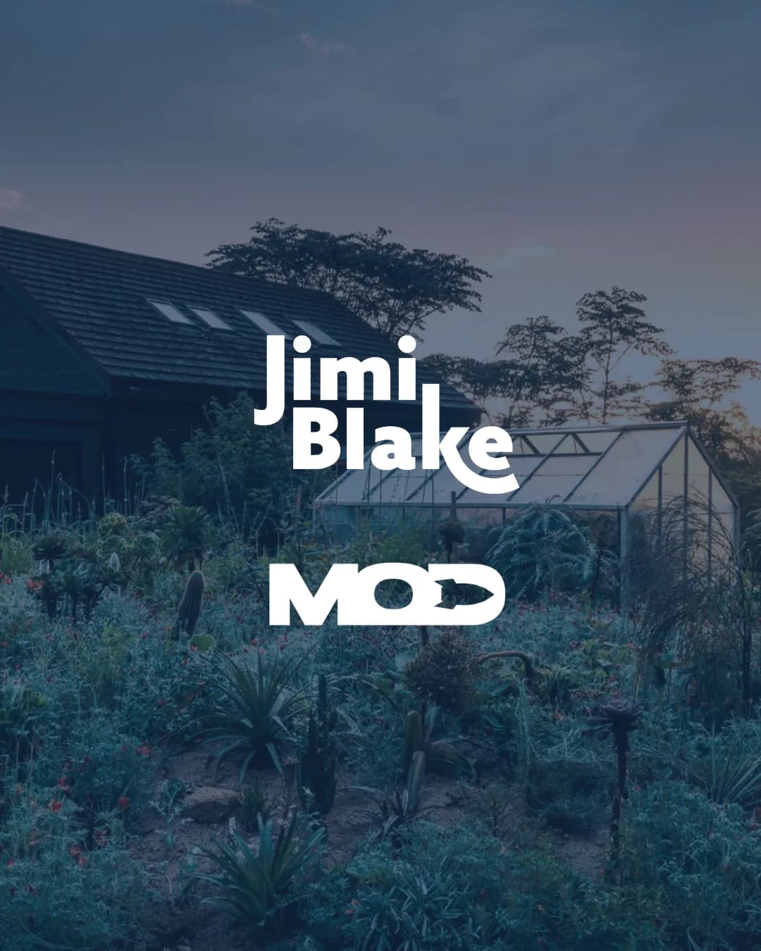 Jimi Blake